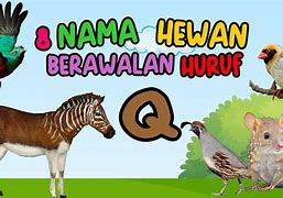 Sebutkan Nama Hewan Yang Berawalan Dari Huruf F